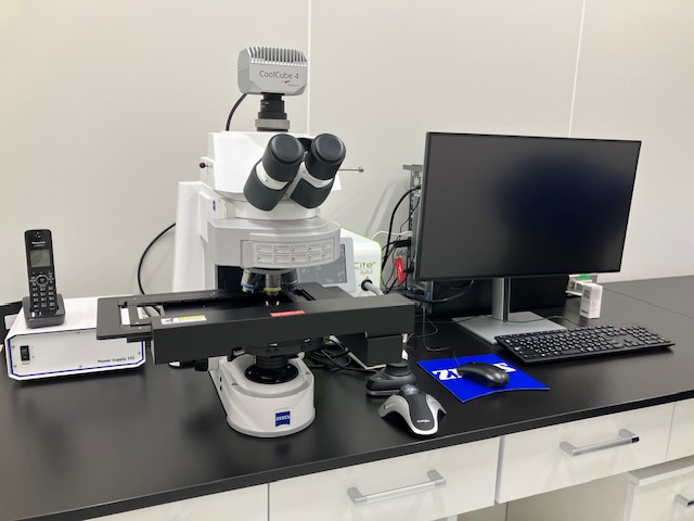 染色体解析システム